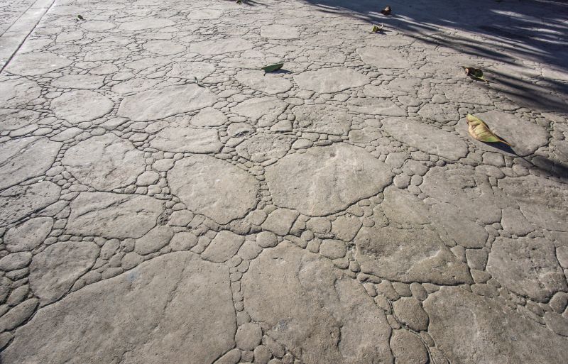 Decorative Concrete Repair in Manassas, VA